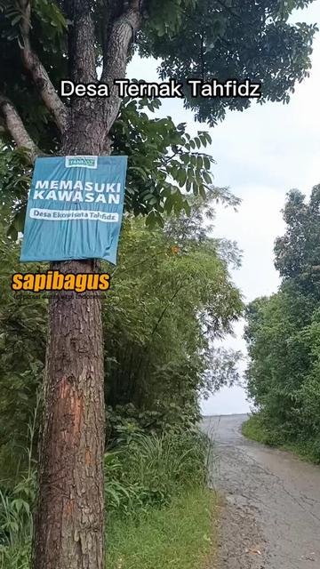 Desa-Ternak-Tahfidz